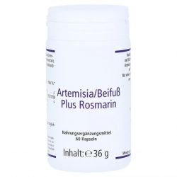 Артемизинин 150 мг капс. 60шт в Ухте и области фото