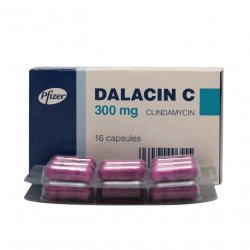 Далацин Ц капсулы 300мг N16 в Ухте и области фото