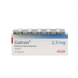 Гутрон таблетки 2,5 мг. №20 в Ухте и области фото