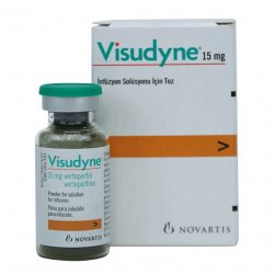 Визудин лиофилизат д/пригот р-ра д/в/в введения 15 мг №1 в Ухте и области фото