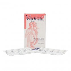 Вагикаль суппозитории вагинальные 150 мг N10 в Ухте и области фото